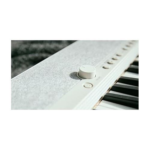 카시오 Casio Casiotone CT-S1WE 61-Key Portable Keyboard (White)