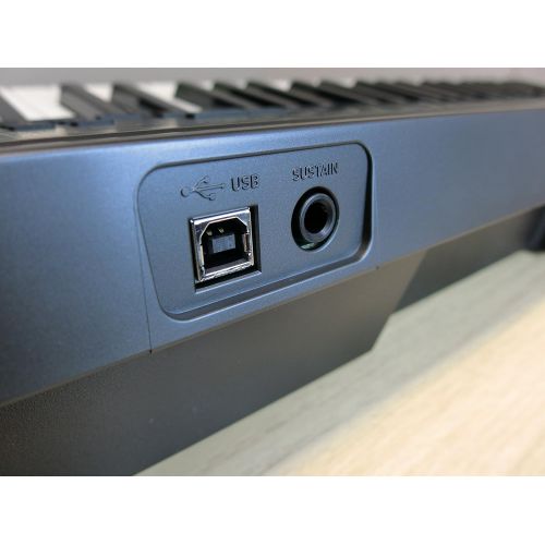 카시오 Casio CASIO Electric Keyboard 61 CTK-2200 (Japan Import)