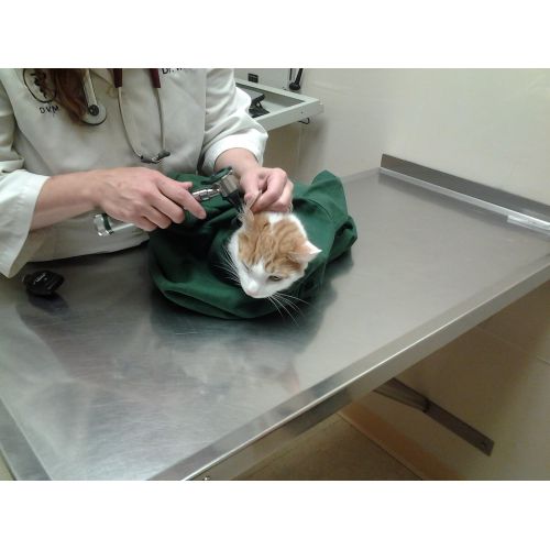  Cat-in-the-bag Cozy Comfort Carrier- Cat Carrier and Grooming Bag for Vet Visits, Medication Administration, Dental Care, and Car Travel