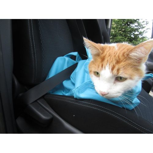  Cat-in-the-bag Cozy Comfort Carrier- Cat Carrier and Grooming Bag for Vet Visits, Medication Administration, Dental Care, and Car Travel