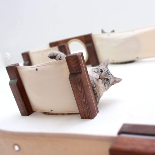 CatastrophiCreations Cat Mod Climb Track Handcrafted Wall Mounted Cat Tree Shelves, English Chestnut/Natural, One Size