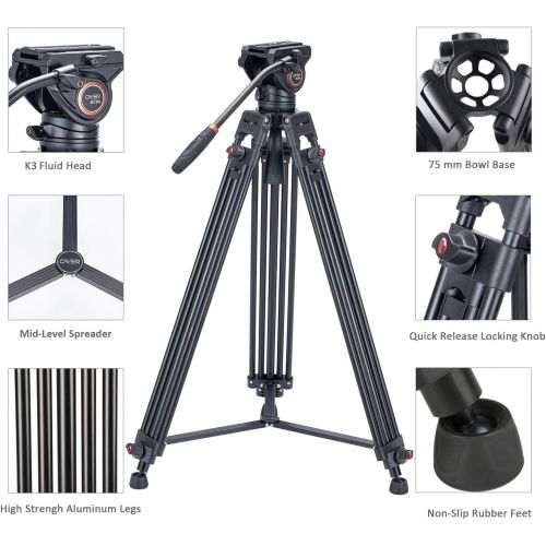  Video Tripod System, Cayer BV30L 72 inch- Professional Heavy Duty Aluminum Twin Tube Tripod, K3 Fluid Head, Mid-Level Spreader, Max Loading 13.2 LB, DSLR Camcorder, Plus 1 Bonus Qu