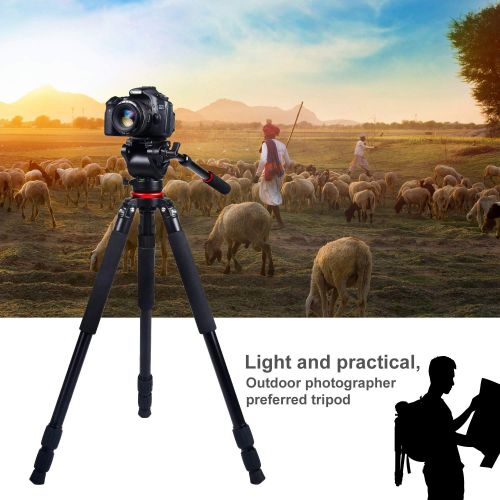  Camera Tripod Stand, ASHANKS Adjustable Camera Slider Tripod Hydraulic Video Tripods with 65mm Bowl Tripod Fluid Head Birding Stand for DSLR Camcorders Canon Nikon Sony Cameras Sli