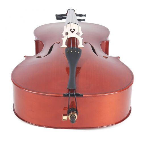  Cecilio Full Size 44 CCO-100 Student Cello Pack w1 Year Warranty, Stand, Extra Set Strings, Bow, Rosin, Bridge & Soft Case