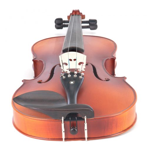  Cecilio CVA-500 Solidwood Ebony Fitted Viola with DAddario Prelude Strings, Size 15-Inch