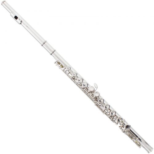  Mendini by Cecilio MFE-N Nickel Silver C Flute with Stand, Tuner, 1 Year Warranty, Case, Cleaning Rod, Cloth, Joint Grease, and Gloves