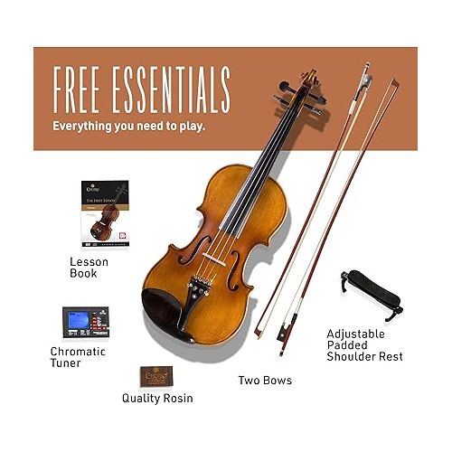  CVN-300 Solidwood Ebony Fitted Violin with D'Addario Prelude Strings, Size 3/4