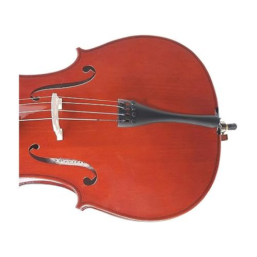  Cecilio - 3/4 Size Cellos for Kids & Adults with Bow, Case and Strings