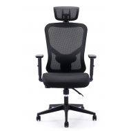 Cedric Office Chair Home Computer Chair Ergonomic Adjustable Headrest PU-Armrest Lumbar Support Mesh Nylon CD-861FH