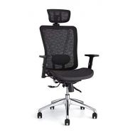 Cedric Ergonomic Mesh Office Chair, High Back Desk Chair with Adjustable Lumbar Support, PU Armrests and Mesh Headrest and seat(CD-874MH)