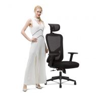 Cedric Office Chair Home Computer Chair Ergonomic Adjustable Headrest Armrest Lumbar Support Mesh Nylon CD-861FH-3