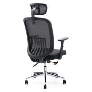 Cedric Ergonomic Mesh Office Chair, High Back Desk Chair with Adjustable PU Armrests and Mesh Headrest (CD-858FH)
