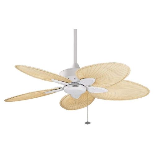  Fanimation Fans FP7500MW Windpointe -54 Ceiling Fan, Matte White Finish with Narrow Oval Natural Palm Blade