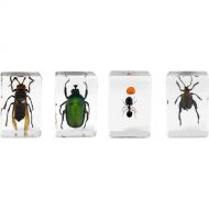 Celestron 3D Bug Specimen Kit #5