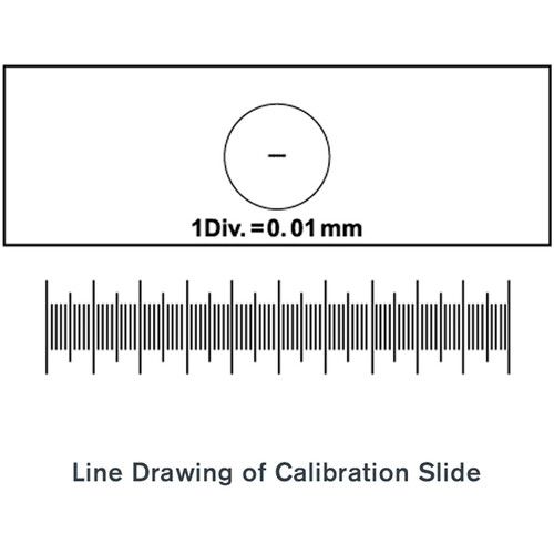 셀레스트론 Celestron Microscope Calibration Slide