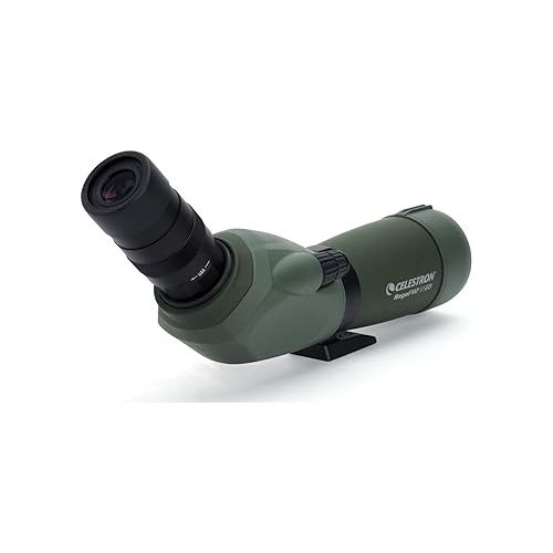 셀레스트론 Celestron Regal M2 65ED Spotting Scope - ED Glass for Hunting, Birding and Outdoor Actvities - Phase and Dielectric Coated BaK-4 Prism - Fully Multi-Coated Optics - Dual Focus - 16-48x Zoom Eyepiece