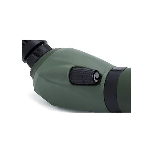 셀레스트론 Celestron Regal M2 65ED Spotting Scope - ED Glass for Hunting, Birding and Outdoor Actvities - Phase and Dielectric Coated BaK-4 Prism - Fully Multi-Coated Optics - Dual Focus - 16-48x Zoom Eyepiece