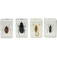 Celestron - Real 3D Bugs in Clear Resin - 4pc Set Includes Scorpion, Stag Beetle, Longhorn Beetle, and Fire Bug - Perfect for Science Eduction and Classroom - Use with Digital and Stereo Microscopes