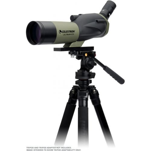 셀레스트론 Celestron Ultima Spotting Scope with 81035 Smart Phone Adapter Bundle