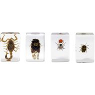 Celestron - 3D Bug Specimen Kit #4 - Observe Insects - Ideal Accessory for Any Celestron Digital Microscope