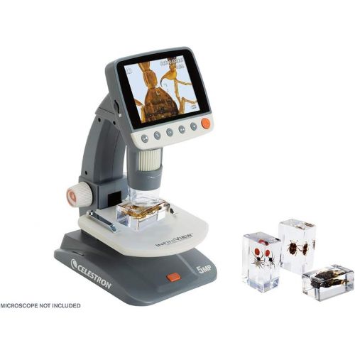 셀레스트론 Celestron - 3D Bug Specimen Kit #4 - Observe Insects - Ideal Accessory for Any Celestron Digital Microscope