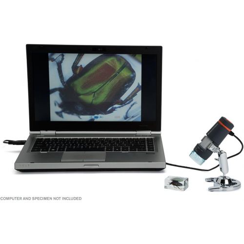 셀레스트론 Celestron 44302 Handheld Digital Microscope 1.3MP