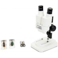 Celestron S20 Portable Stereo Microscope w/20x Power, 2 Insect Specimens in Clear Plastic, 2 AA Batteries, Upper Illuminator