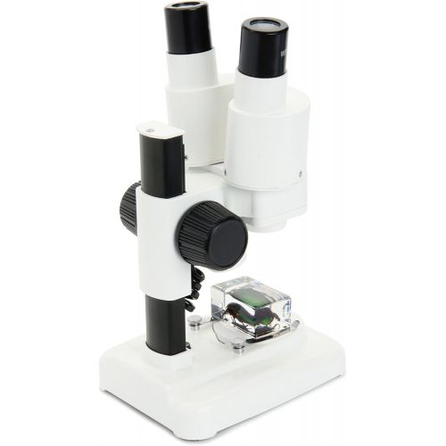 셀레스트론 Celestron S20 Portable Stereo Microscope w/20x Power, 2 Insect Specimens in Clear Plastic, 2 AA Batteries, Upper Illuminator