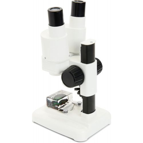 셀레스트론 Celestron S20 Portable Stereo Microscope w/20x Power, 2 Insect Specimens in Clear Plastic, 2 AA Batteries, Upper Illuminator