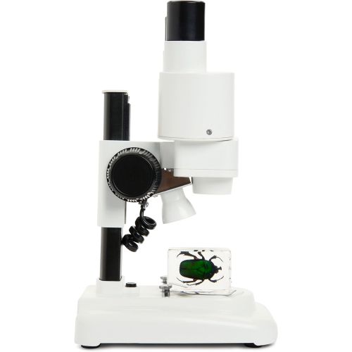 셀레스트론 Celestron S20 Portable Stereo Microscope w/20x Power, 2 Insect Specimens in Clear Plastic, 2 AA Batteries, Upper Illuminator