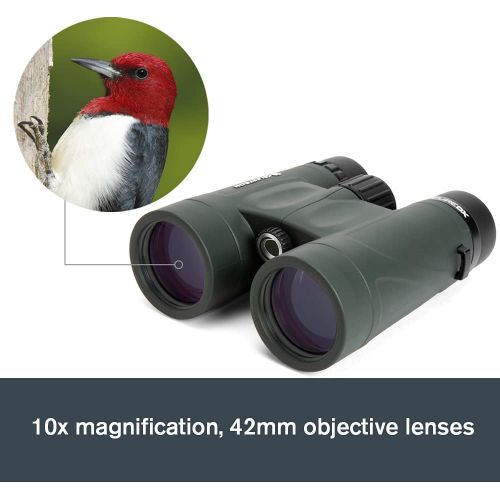 셀레스트론 Celestron 71333 Nature DX 10x42 Binocular (Green)