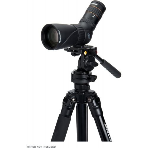 셀레스트론 Celestron Hummingbird 9-27x56mm ED Micro Spotting Scope - Birder Friendly - Close Focus Distance