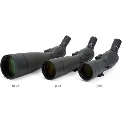 셀레스트론 Celestron 52330 TrailSeeker 65 - 45 Degree Spotting Scope(Black)