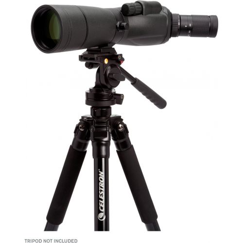 셀레스트론 Celestron 52330 TrailSeeker 65 - 45 Degree Spotting Scope(Black)