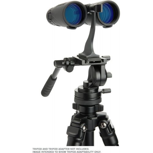 셀레스트론 Celestron 71370 8x42 Granite Binocular (Black)