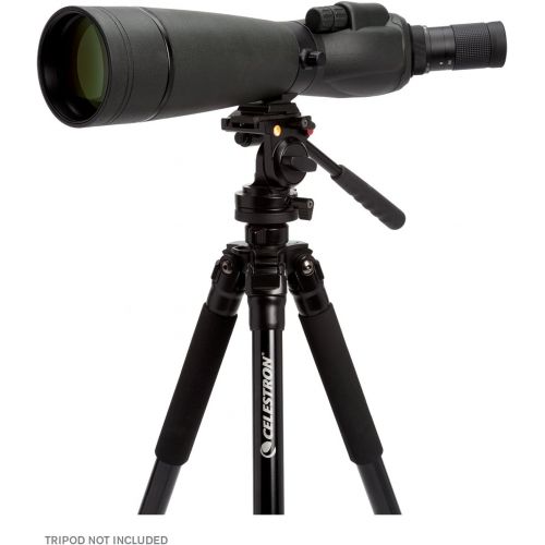 셀레스트론 Celestron 52332 TrailSeeker 80 - 45 Degree Spotting Scope(Black)