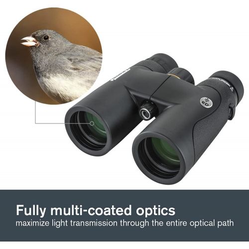셀레스트론 Celestron 72332  Nature DX ED 8x42 Premium Binoculars  Extra-Low Dispersion (ED) Objective Lenses  Multi-Coated Optics Phase-Coated BaK-4 Prisms  Binoculars for Bird Watching,