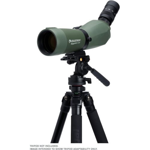 셀레스트론 Celestron Regal M2 65ED Spotting Scope  Fully Multi-Coated Optics  Hunting Gear  ED Objective Lens for Bird Watching, Hunting and Digiscoping  Dual Focus  16-48x Zoom Eyepiece