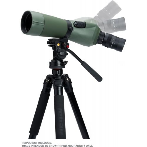 셀레스트론 Celestron Regal M2 65ED Spotting Scope  Fully Multi-Coated Optics  Hunting Gear  ED Objective Lens for Bird Watching, Hunting and Digiscoping  Dual Focus  16-48x Zoom Eyepiece