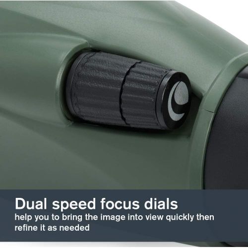 셀레스트론 Celestron Regal M2 80ED Spotting Scope  Fully Multi-Coated Optics  Hunting Gear  ED Objective Lens for Bird Watching, Hunting and Digiscoping  Dual Focus  20-60x Zoom Eyepiece
