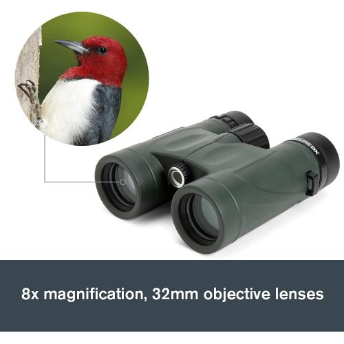 셀레스트론 Celestron 71330 Nature DX 8x32 Binocular (Green)