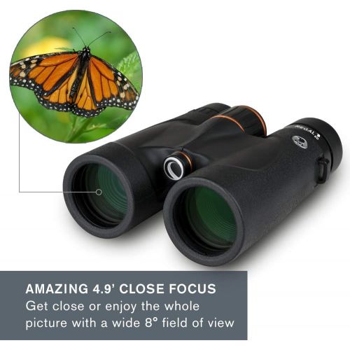 셀레스트론 Celestron Regal ED 10x42 Roof Prism Binoculars, Black, 71391