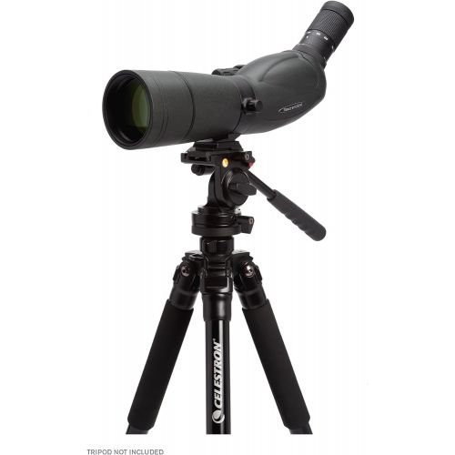 셀레스트론 Celestron 52330 TrailSeeker 65 - 45 Degree Spotting Scope(Black)