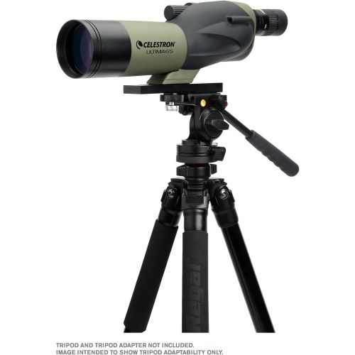 셀레스트론 Celestron Ultima 65 18 to 55x65 Straight Spotting Scope