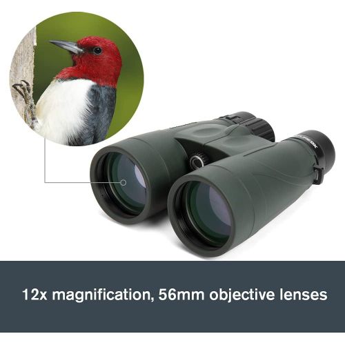 셀레스트론 Celestron 71336 Nature DX 12x56 Binocular (Green)