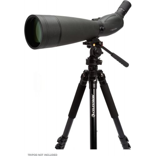 셀레스트론 Celestron 52334 TrailSeeker 100 - 45 Degree Spotting Scope(Black)