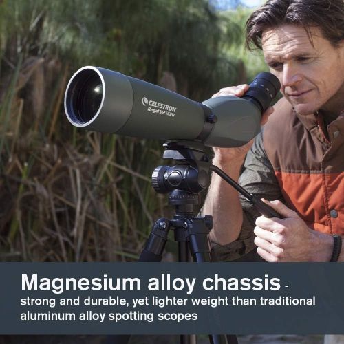 셀레스트론 Celestron Regal M2 80ED Spotting Scope  Fully Multi-Coated Optics  Hunting Gear  ED Objective Lens for Bird Watching, Hunting and Digiscoping  Dual Focus  20-60x Zoom Eyepiece