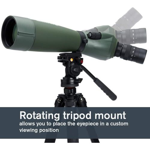 셀레스트론 Celestron Regal M2 80ED Spotting Scope  Fully Multi-Coated Optics  Hunting Gear  ED Objective Lens for Bird Watching, Hunting and Digiscoping  Dual Focus  20-60x Zoom Eyepiece