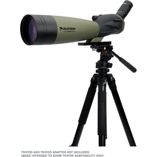 셀레스트론 Celestron  Ultima 100 Angled Spotting Scope  22 to 66x100mm Zoom Eyepiece  Multi-Coated Optics for Bird Watching, Wildlife, Scenery and Hunting  Waterproof and Fogproof  Inclu