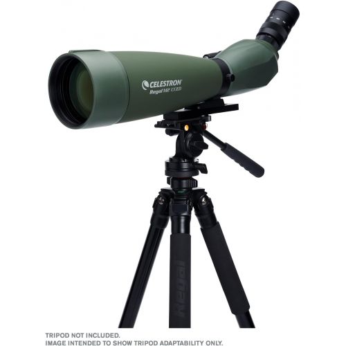 셀레스트론 Celestron Regal M2 100ED Spotting Scope  Fully Multi-Coated Optics  Hunting Gear  ED Objective Lens for Bird Watching, Hunting and Digiscoping  Dual Focus  22-67x Zoom Eyepiec